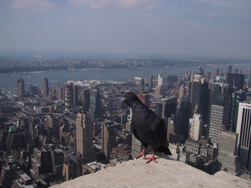 NYC