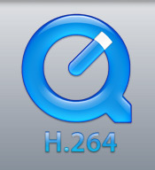 h264