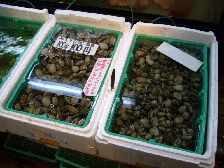 Market