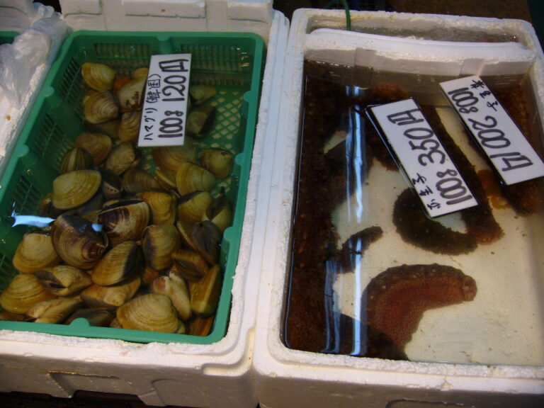 Market