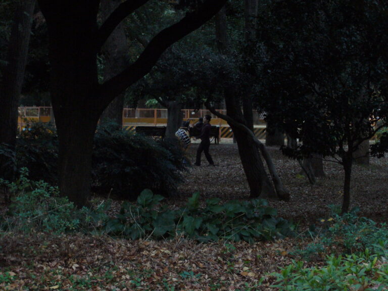 Taiko In Yoyogi Koen