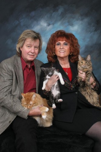 kitty_familyjpg