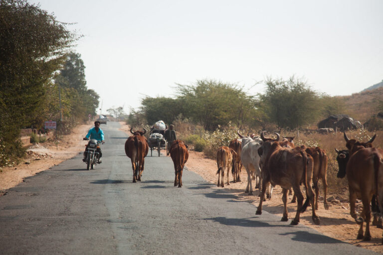 Jaipur – Jodhpur