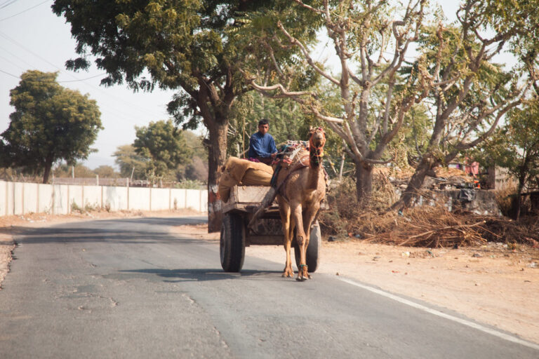 Jaipur – Jodhpur